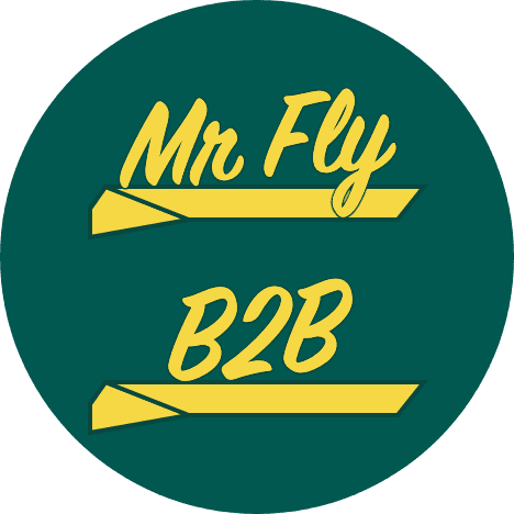 MrFlyB2B Logo