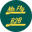 MrFlyB2B Logo